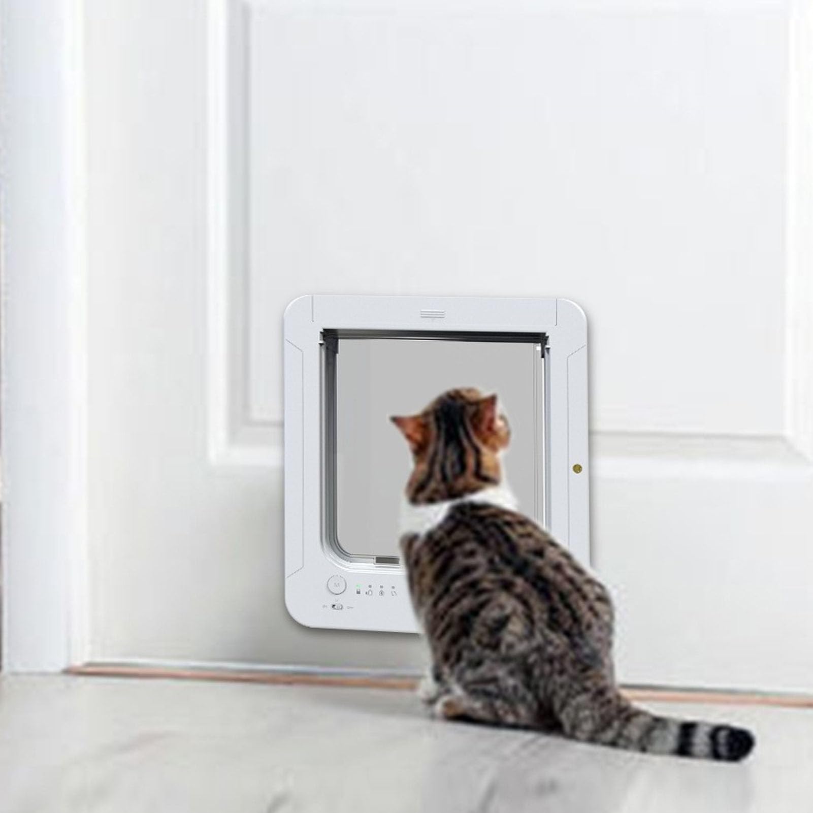 Intelligente Katzenklappe mit doppeltem Eingang, sichere Katzenklappe für aktive Katzen, elektronischer Eingang mit Fernbedienung für eine bequeme Bedienung, Material: Kunststoff