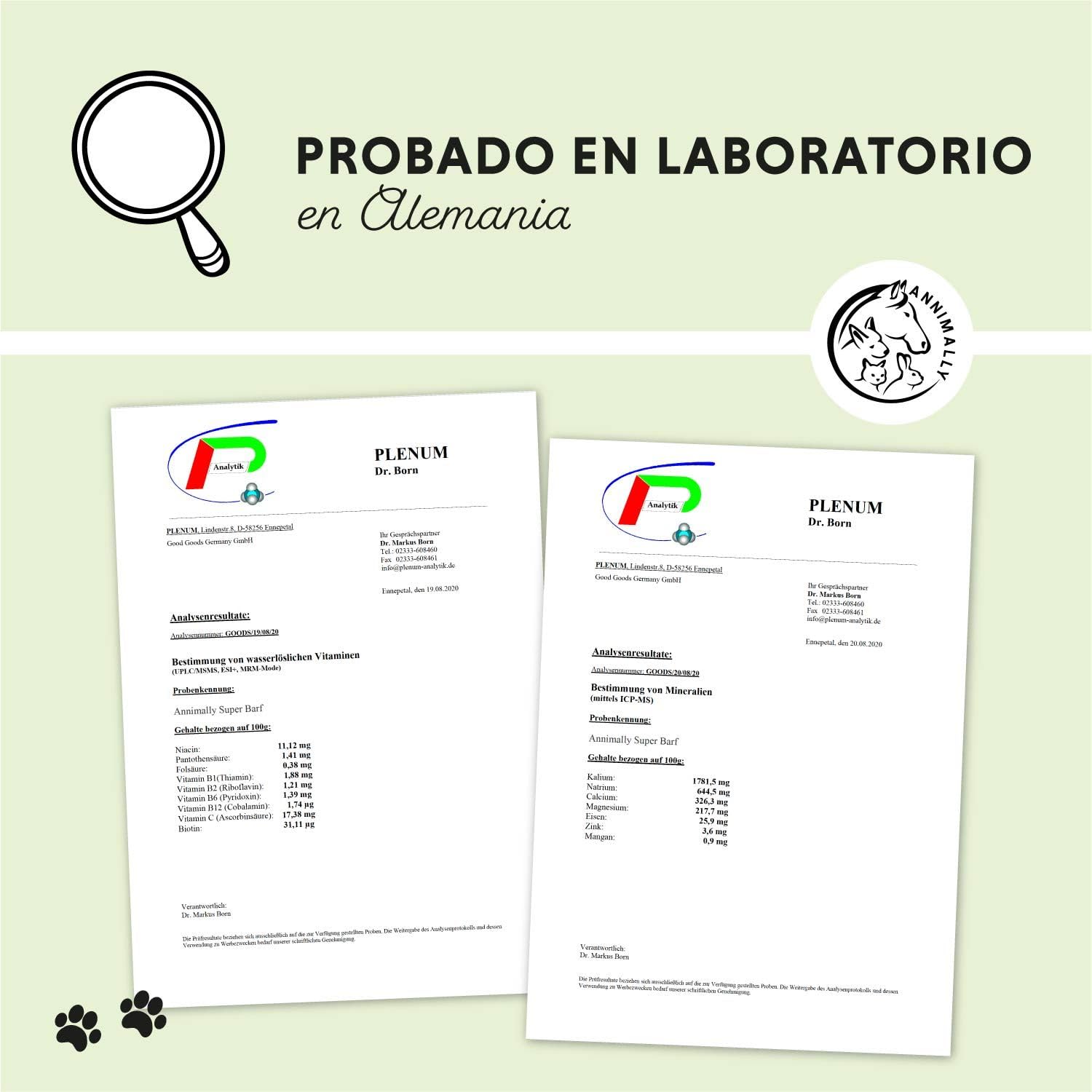 Annimally Barf Polvo Suplemento para Perros 1 kg, Barf Complete Mezcla de Vitaminas y Minerales para una nutrición óptima - Suplemento Alimenticio de Minerales para Perros con Verduras y Vitamina