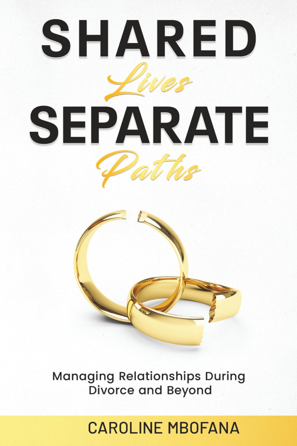 Shared Lives Separate Paths: Managing Relationships during Divorce and Beyond