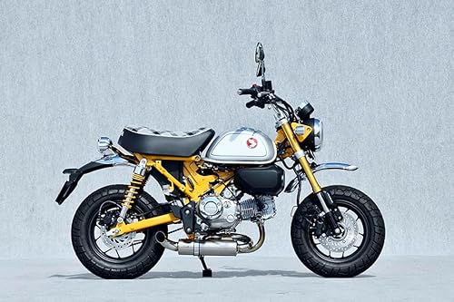 }g[VO(YAMAMOTO) 21`23 L[125 SPEC-A}t[ `^ DOWN TYPE-1 10137-71DT1