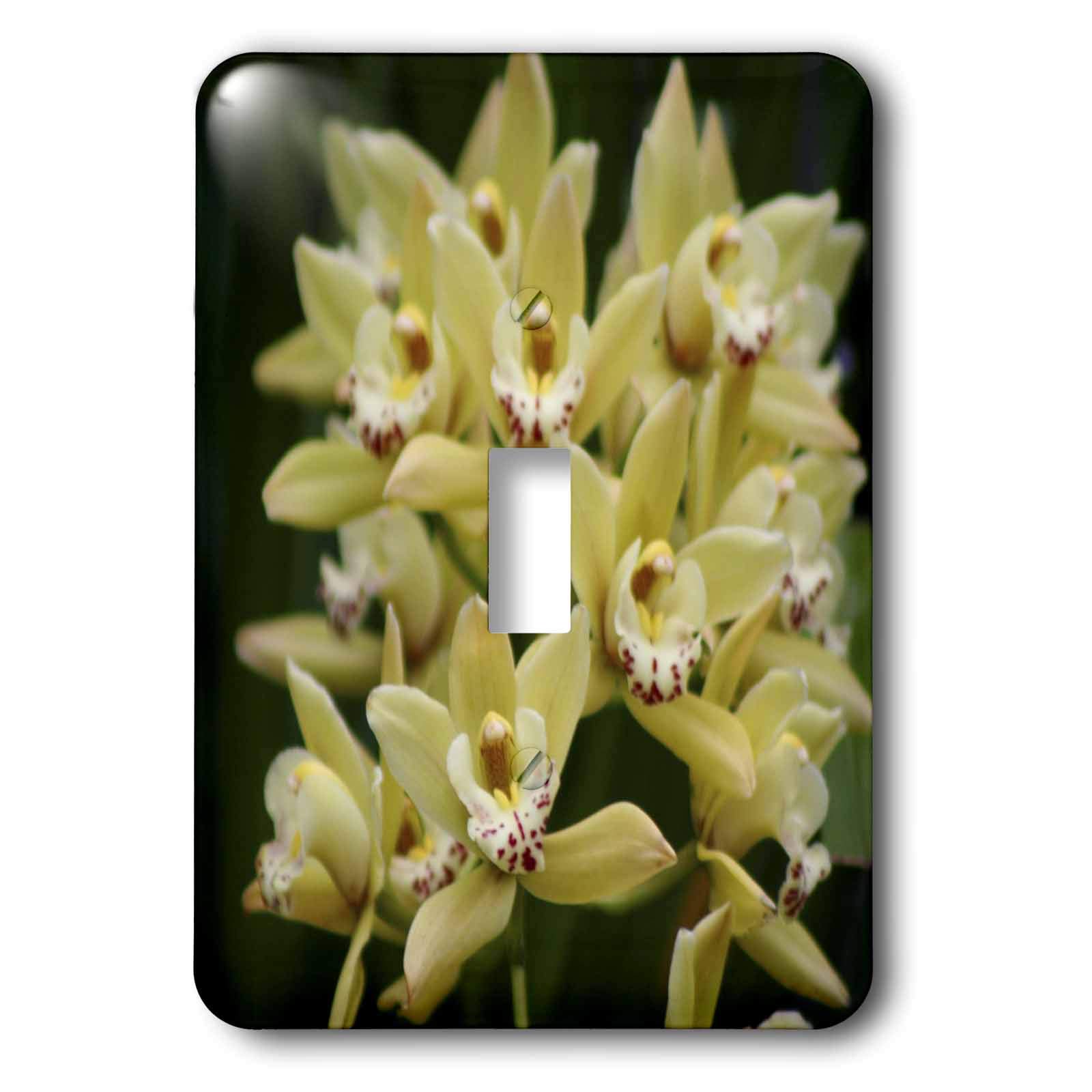 Orchid Oo interrupteur à bascule unique 3dRose Lsp_9026_1 pour salon et chambre zen