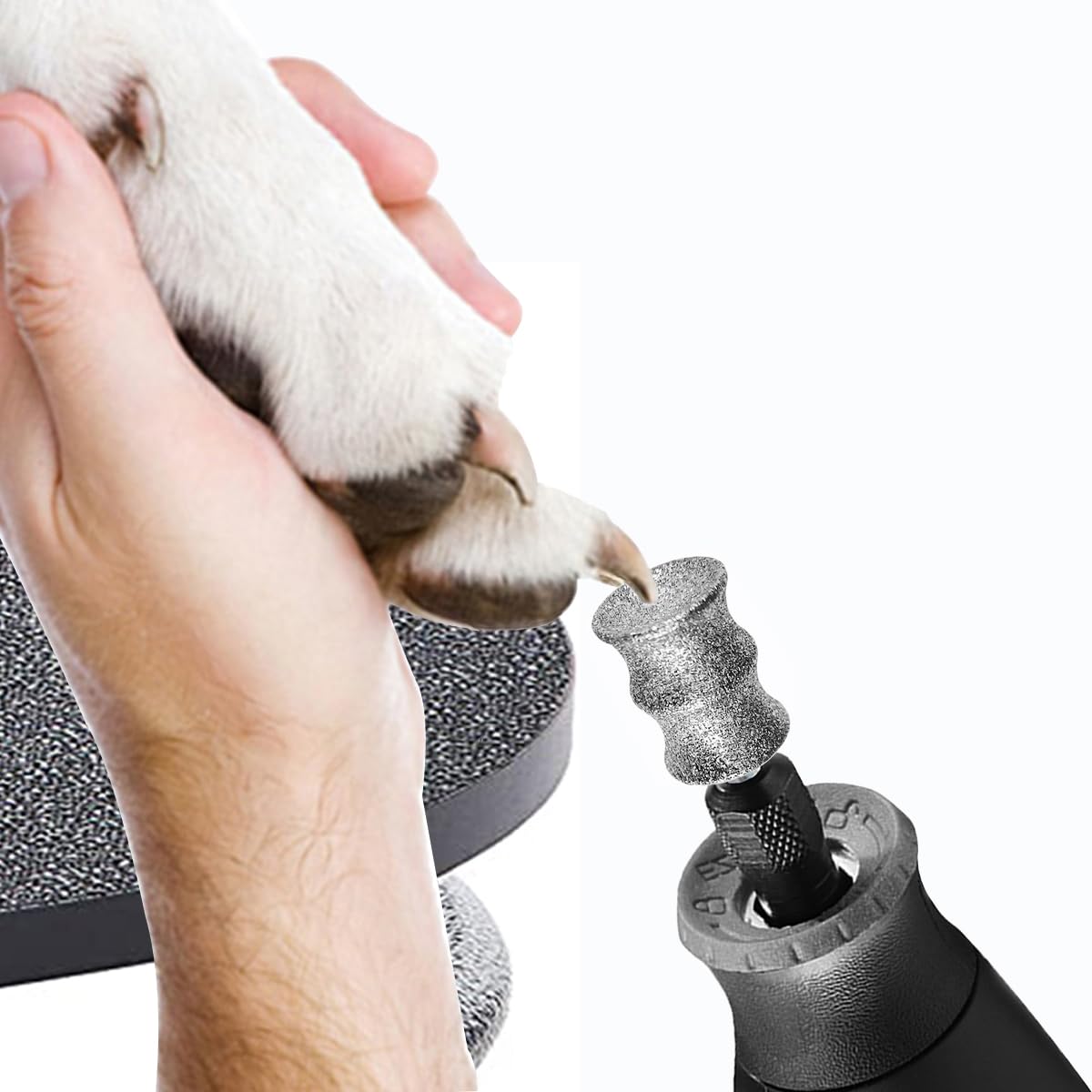 ModelB Diamant-Nagelschleifer Für Hunde – 0,3cm Bit Für Dremel, Haustier-Nagelpflege