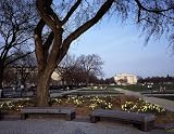 HistoricalFindings Photo: Benches on National Mall,Washington,DC,District of...