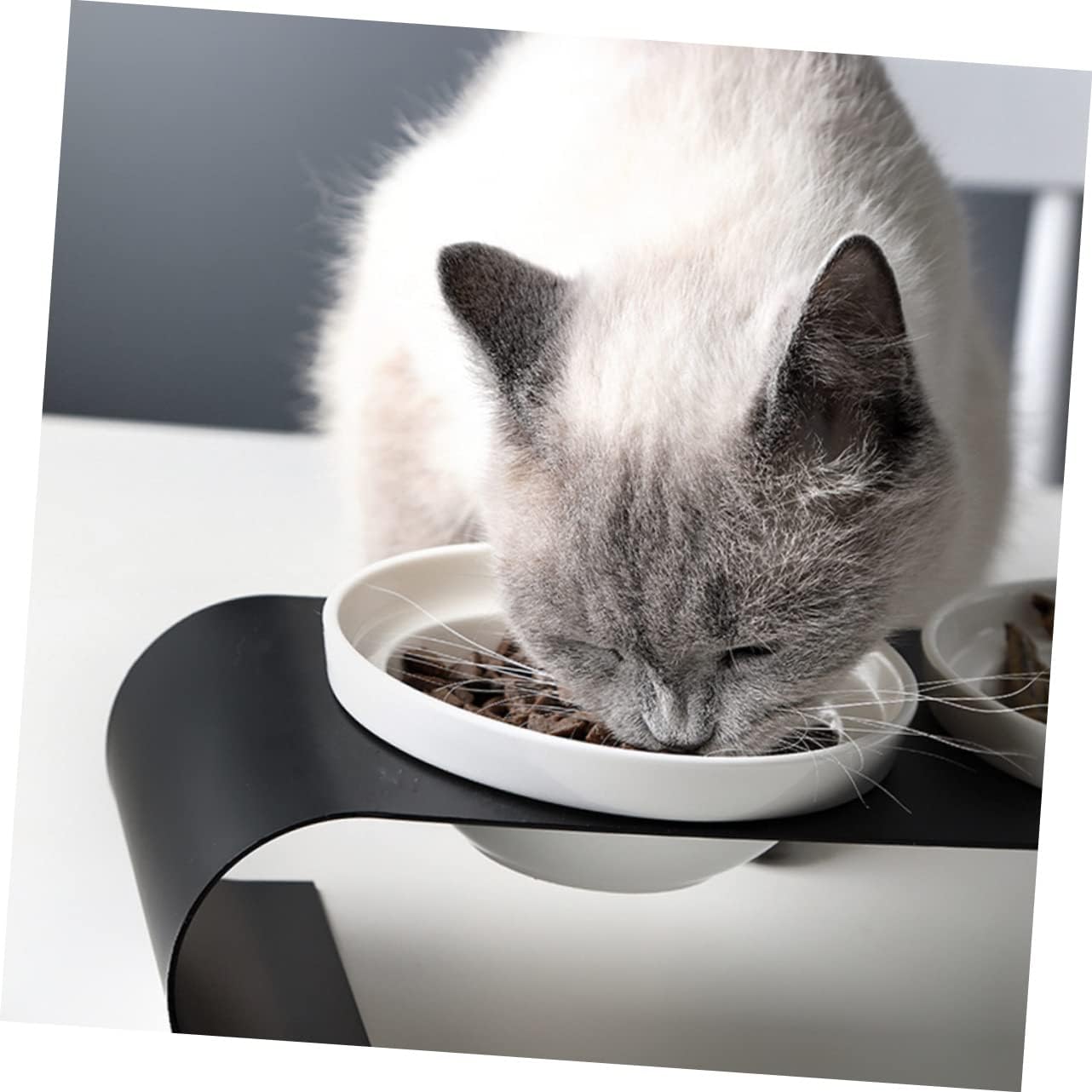 Heightened Cat Bowl Pet Water Food Bowl Iron Bracket Design Stable Raised Cat Food and Water Dish