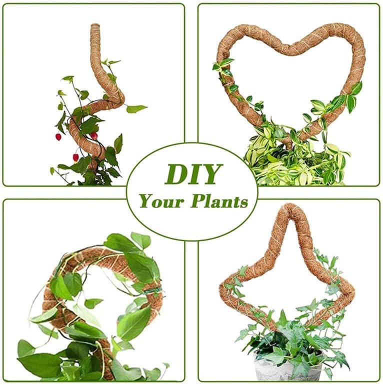 Amazon | 植物支柱 園芸支柱 2本セット 曲げられる ポトス ヘゴ ココ  