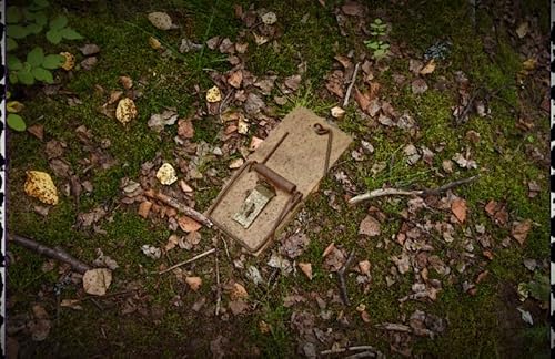 『Invisibility, Story 3: Mousetraps』のカバーアート