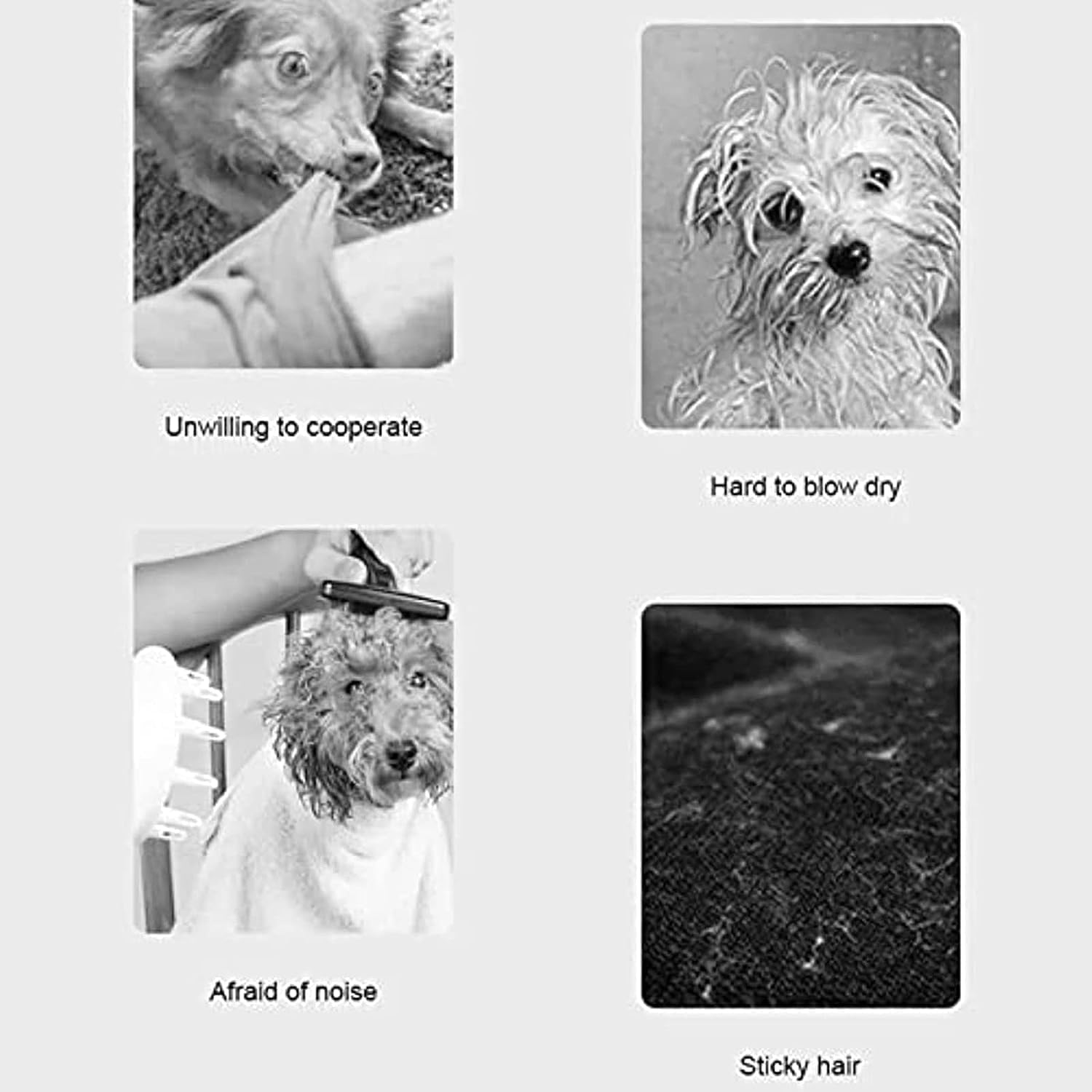 Scatola per Asciugatura Automatica per Animali Domestici, Asciugacapelli Intelligente per Toelettatura Animali Domestici con Schermo LCD a Colori, Asciugatura Professionale a 360°, Basso Rumore