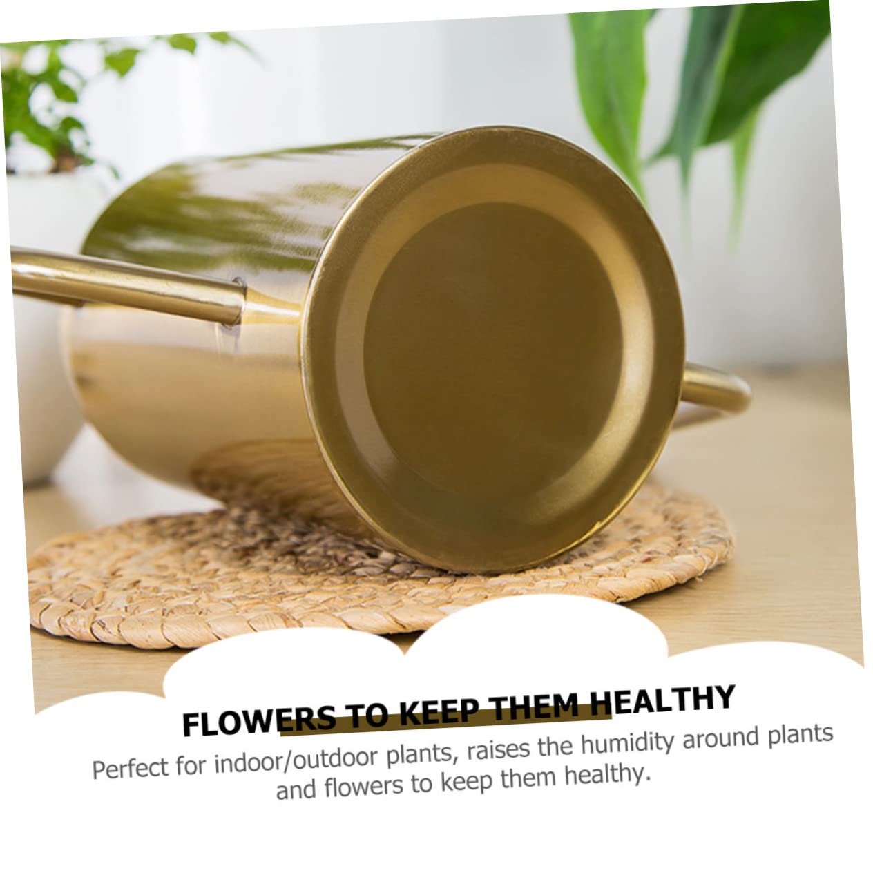 HANABASS 1 Pieza Regadera Inoxidable para Riego de Plantas y Suculentas Diseño Ergonómico y Duradero para y