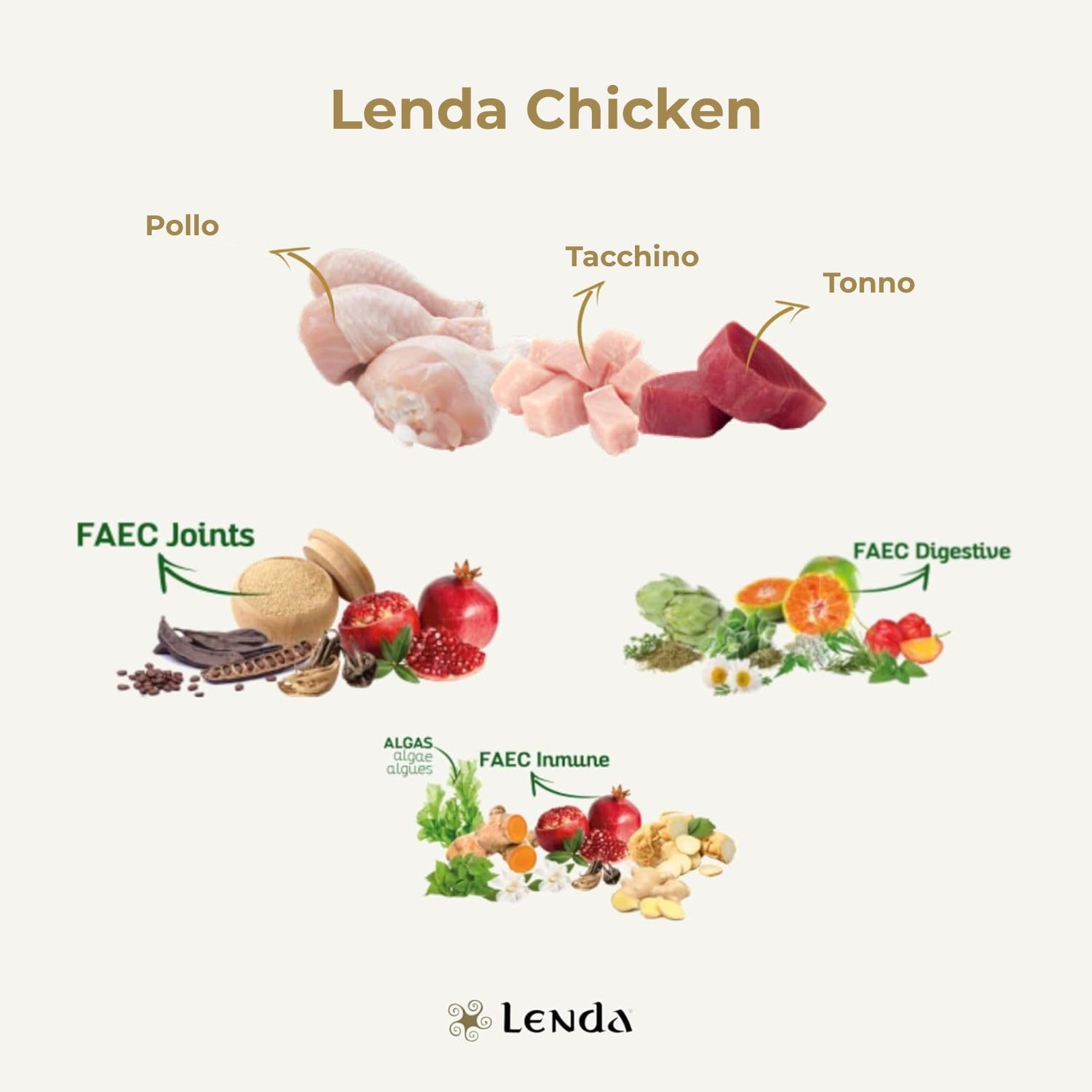 Lenda Chicken 20 kg - Crocchette per Cani Giovani e Adulti con Condroprotettori Probiotici e Olio di Calmone - Alimento per Cani Grande e Piccola - Cibo per Cane di Pollo - Croccantini Cane Naturale