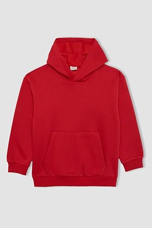 DeFacto Boys' Regular Fit Hooded Sweatshirt