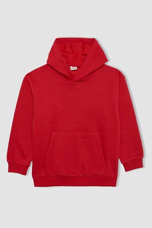 DeFacto Boys' Regular Fit Hooded Sweatshirt