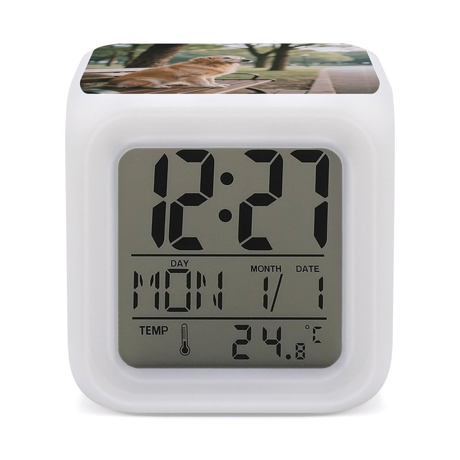 Reloj despertador de perro en banco con luces LED de 7 colores para mesita de noche infantil