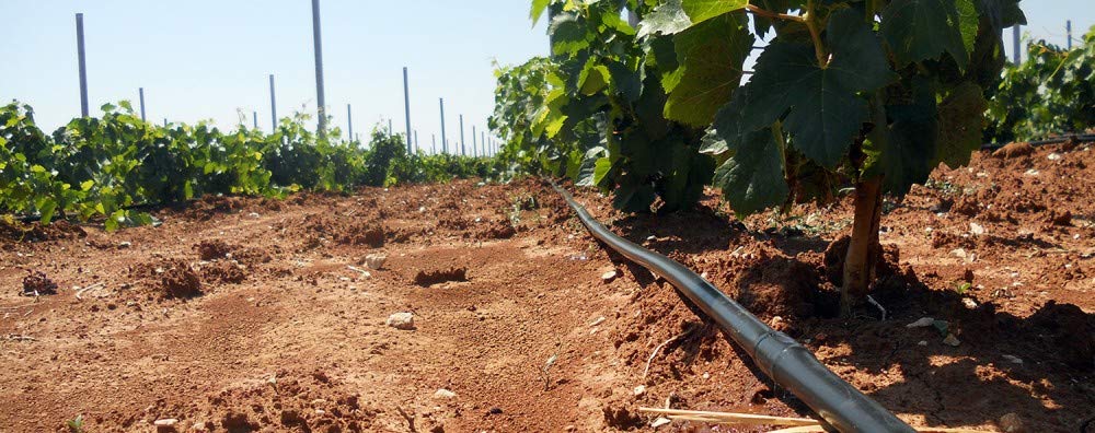 Todo Cultivo Tubería de 16 mm. de 4 litros con Goteo Integrado turbulento Cada 50 cm. 400 Metros de Longitud. Ahorro extraordinario de Consumo de Agua.
