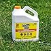 Spray & Forget Revolutionary Roof Cleaner Concentrate – Exterior Mold Stain Remover - 1 Gallon