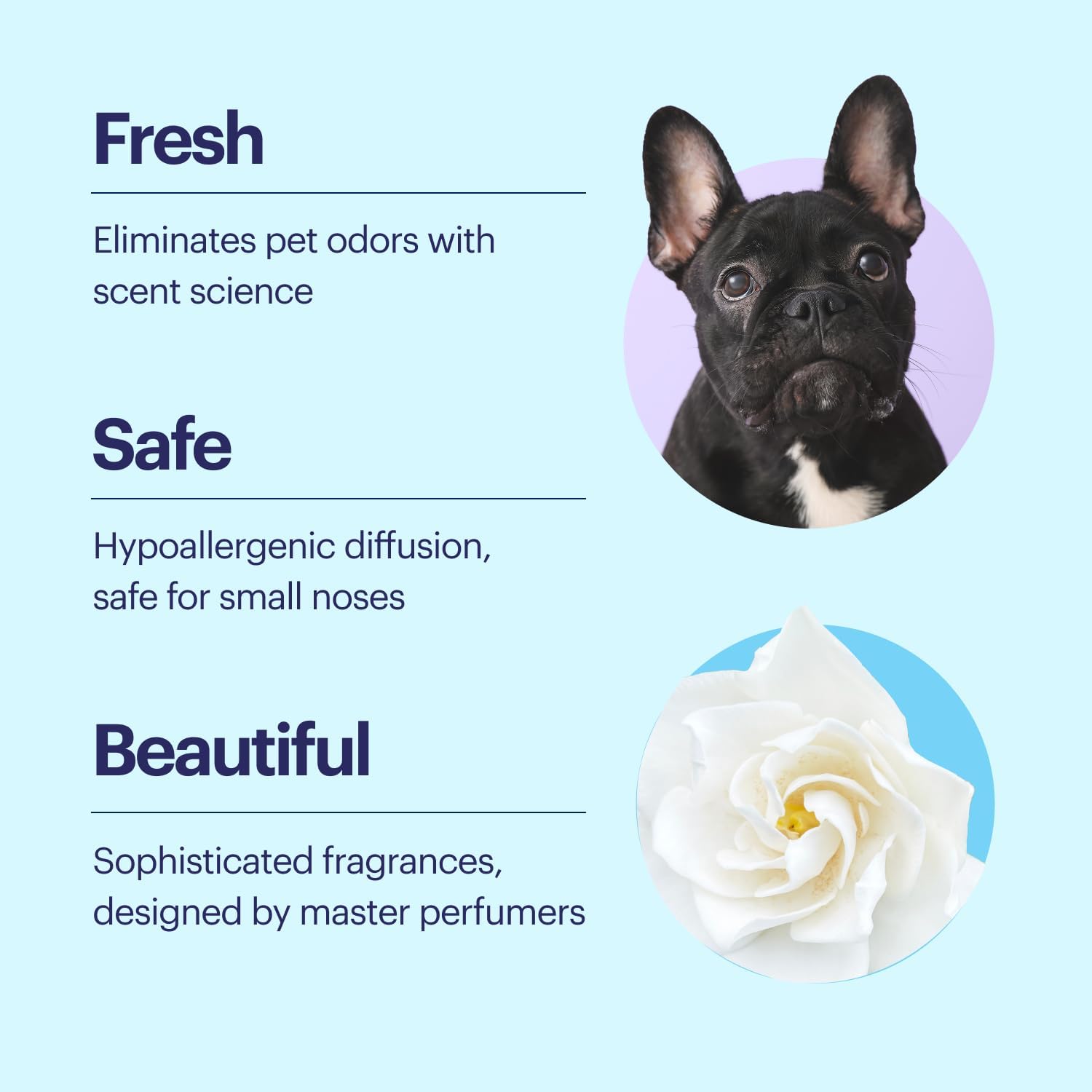 Aera True Loves Ocean Breeze - Deodorizing Home Fragrance Scent Refill for Pet Odor - Notes of Sea Air - 12.5mL - For Use With Aera Diffuser (Sold Separately)