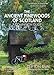 Produktbild The Ancient Pinewoods of Scotland: A Companion Guide