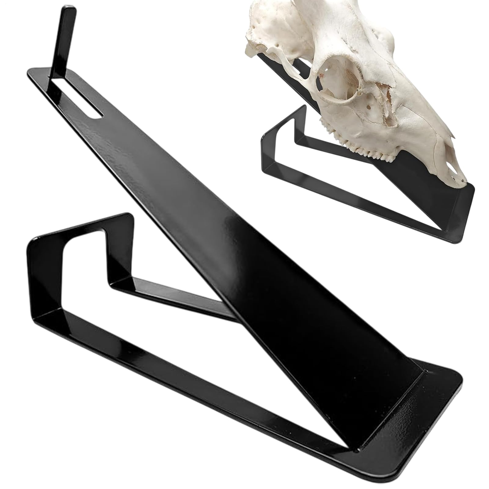 Europäischer Totenkopf-Aufhänger, 3D-Wandhaken, Hirsch-Trophäe, Knochen-Display, 29 x 10 x 21 cm, schnelle Einrichtung und stilvolle Funktionalität, verstellbarer Montageständer für