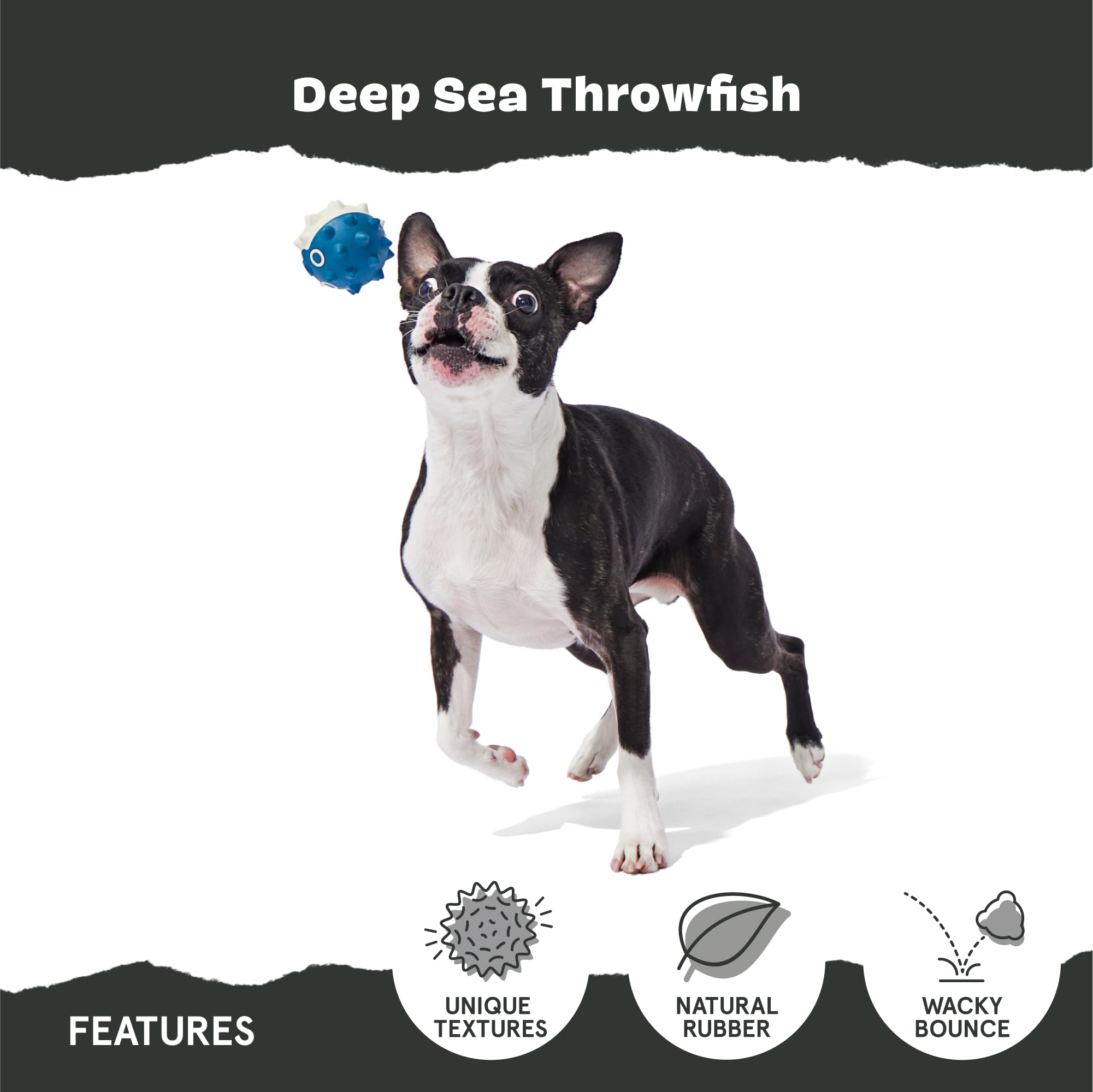 BarkBox Deep Sea Throwfish Dog Toy - Large Dogs -4