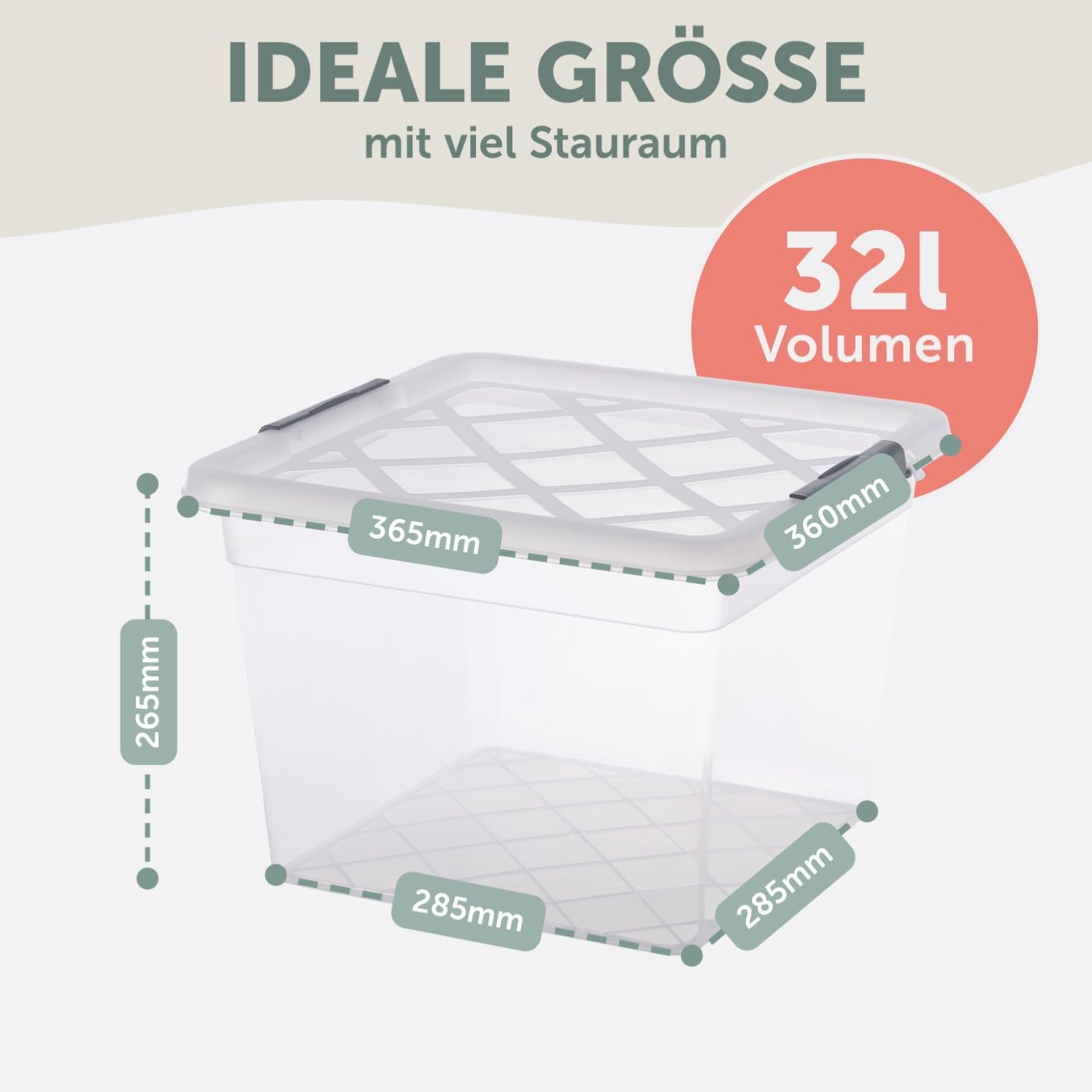 Blumtal Aufbewahrungsbox mit Deckel 32L aus Kunststoff - Aufbewahrungsboxen 36,5x36x26,5 cm - Boxen Aufbewahrung aus 100% Neumaterial & Verschlussclips - Aufbewahrungsbehälter mit Deckel 6er Set