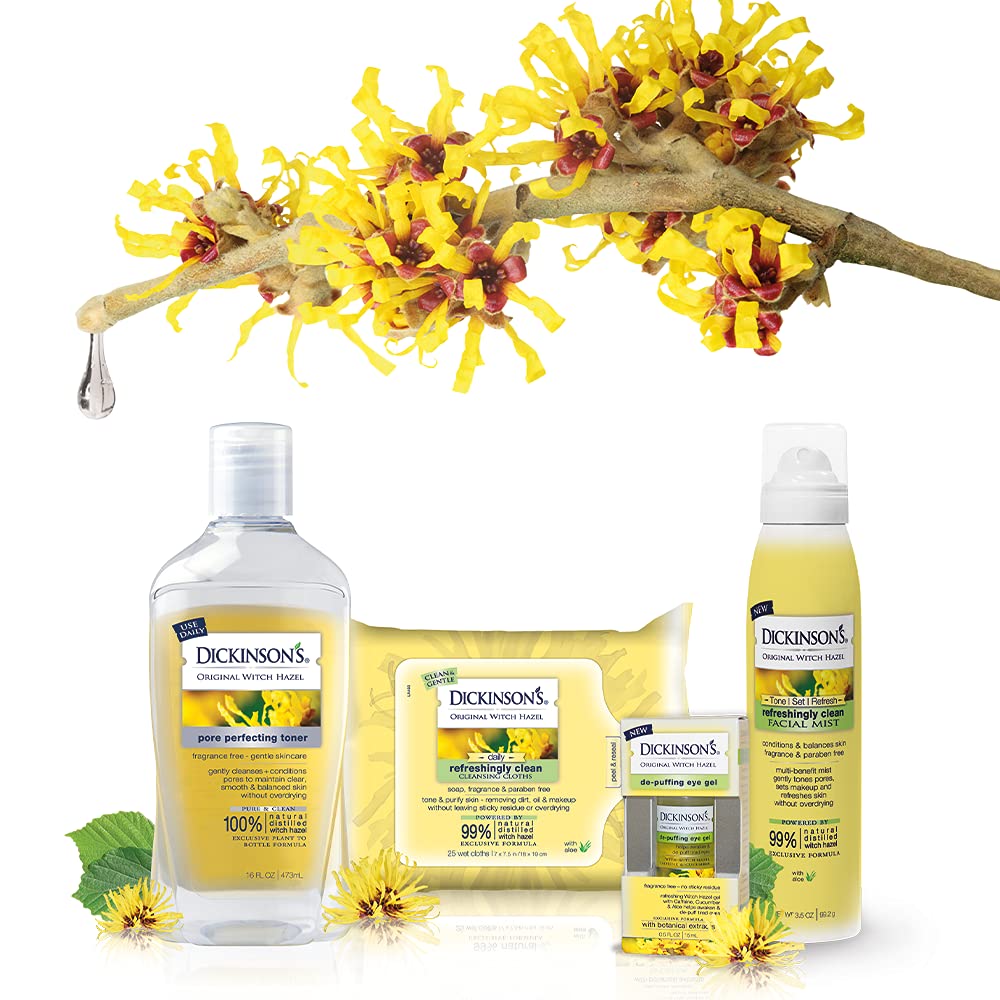 Dickinson's Original Witch Hazel Pore Perfecting Toner, 100% Natural, 16 Ounce Fragrance free : Facial Toners : Beauty & Personal Care