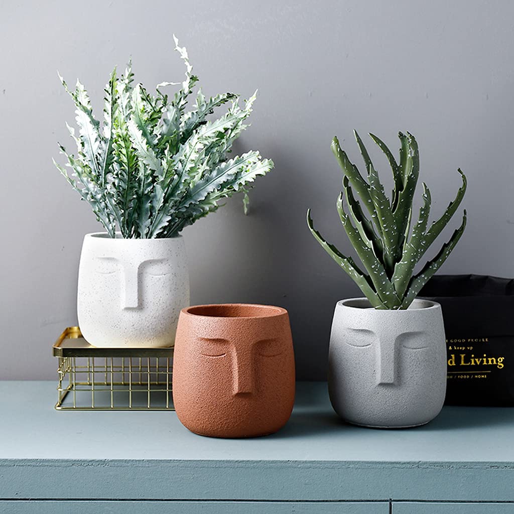 Vaso Nordic Face | Moderno Design a Volto Umano Con Gemma - Alto in Plastica, Forte e Durevole per Fiori e Piante da Interno (3 Colori