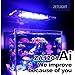 Meki Acua ZETLIGHT ZA-1201 AI Smart WiFi LED Marine Aquarium Coral Light 22W White-Blue Spectrum for SPS/LPS Color Enhancement Growth