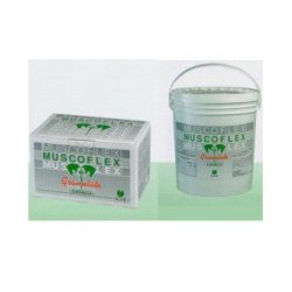 Muscoflex Granulato 40bust 25g