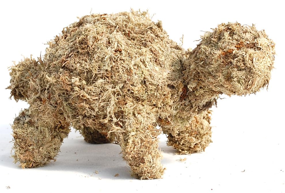 Small Turtle Topiary Form Filled with Sphagnum Moss - 10 INCHES Long, Large