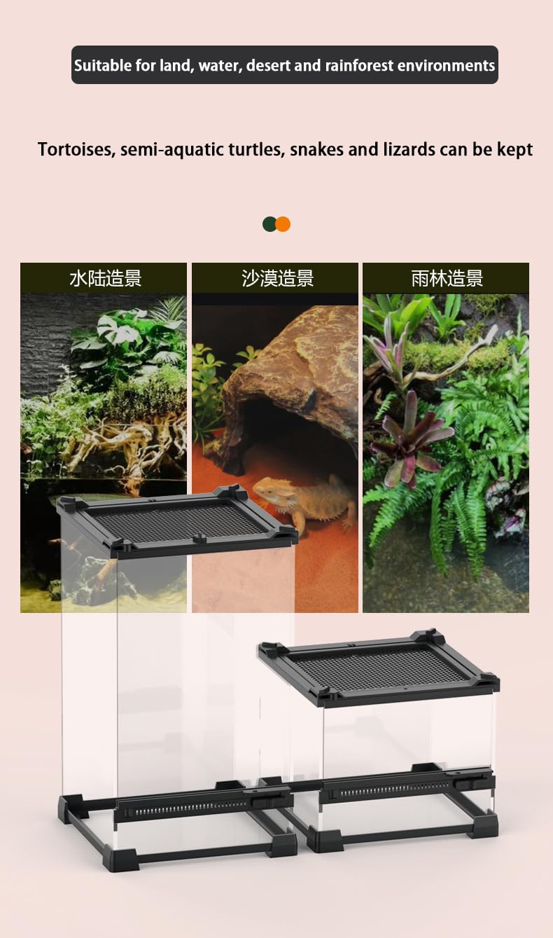 Terrario per rettili, Paludario, Teca per serpenti, Tartarughiera, Scatola di alimentazione rettile, piccolo acquario, trasparente, adatto per barba, ragno, lucertola(vetro-20 * 20 * 30cm)