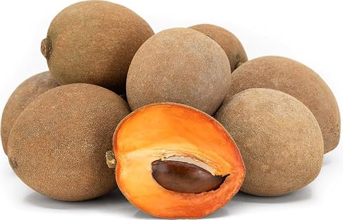 Fresh Mamey Sapote Fruit Tropical Brown Skin with Orange Flesh, Large Size - Enjoyed fresh in Salads, Smoothies, Desserts, Milkshakes and Snacking (4 Count Large (5lbs - 8lbs))