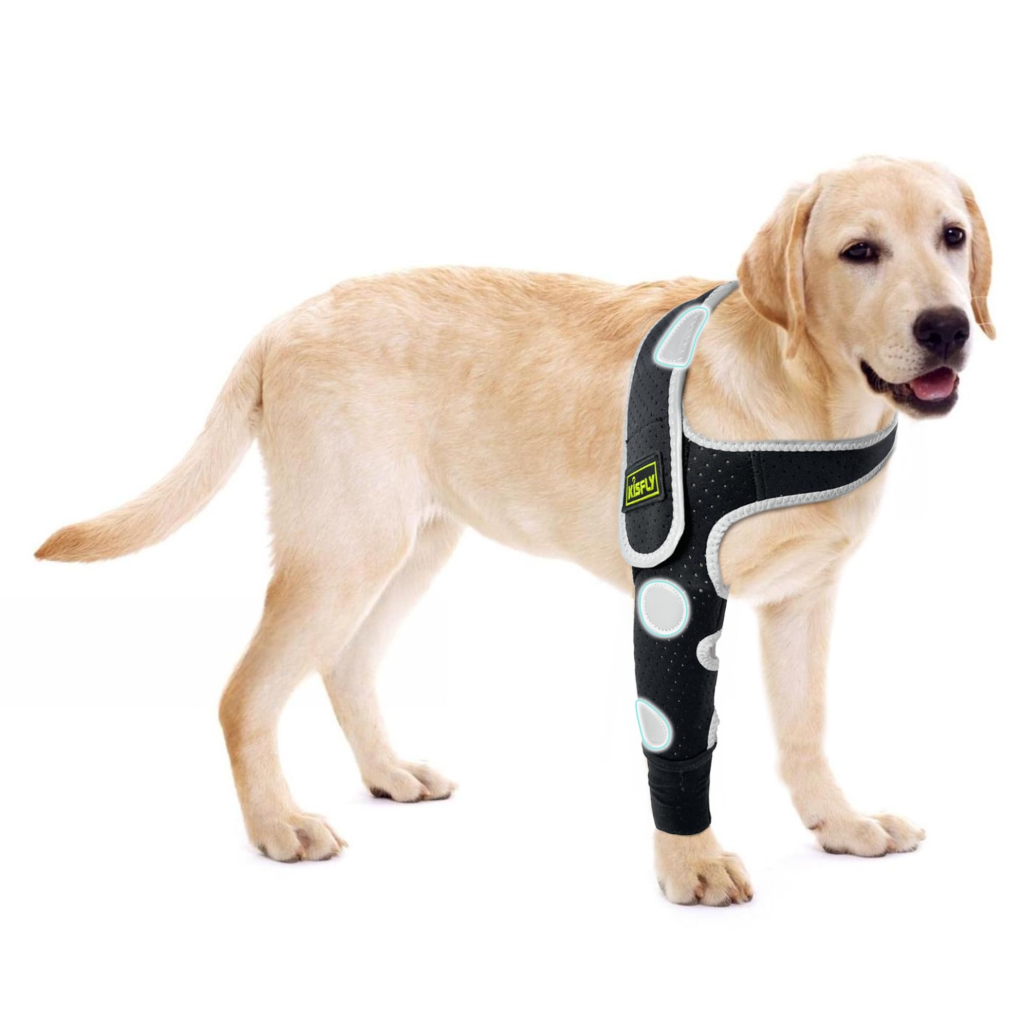 Coudière pour chien hygroma réglable et attelle patte avant droite S