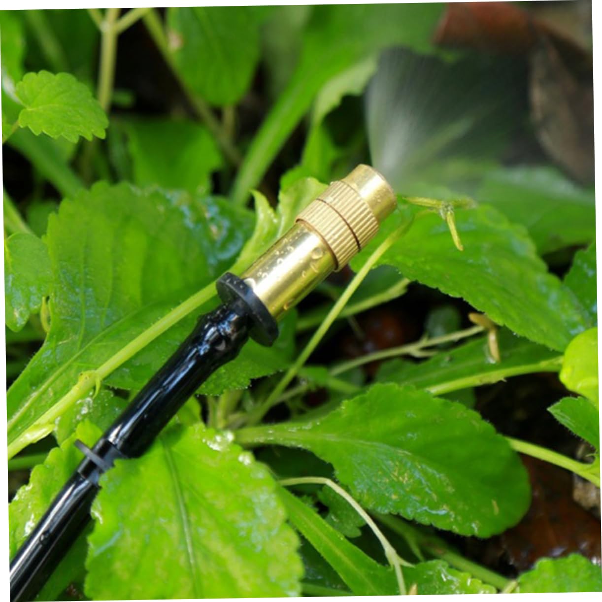 iplusmile 4 Set Ugello Nebulizzatore All'aperto Ugello Spruzzatore Jet Nebulizzatore Per Piante Pianta Ugello Atomizzatore Ugello Da Giardino Ugello A Spruzzo Per Giardino Rame 16 Pezzi * 4