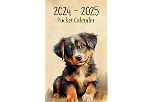 Pocket Pigs Calendar 2024