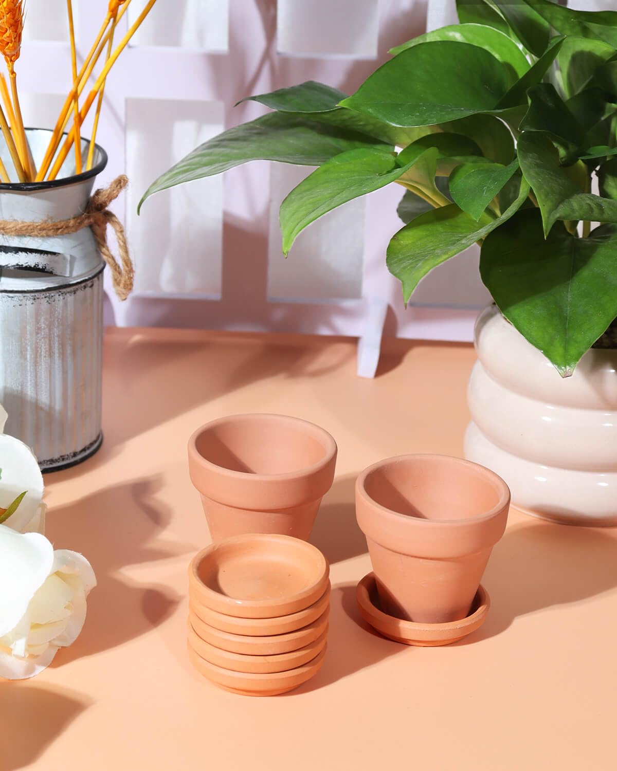 vensovo Sottovasi in terracotta da 5 cm, 32 mini sottovasi per piante da interno ed esterno, piccoli vassoi in argilla perfetti per vasi da fiori da 2,5 cm e 3,8 cm