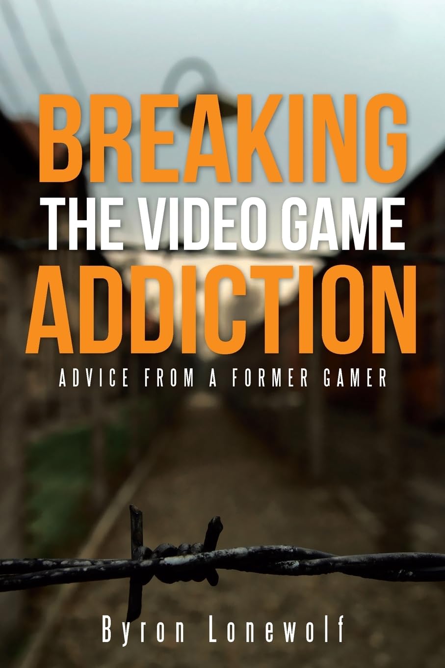 Breaking the Video Game Addiction: Advice from a former gamer