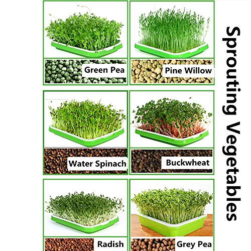 Seed Sprouter Tray, Petforu 5 Set Hydroponics Plant Germination Kits Come With Germinating Paper #TOP4
