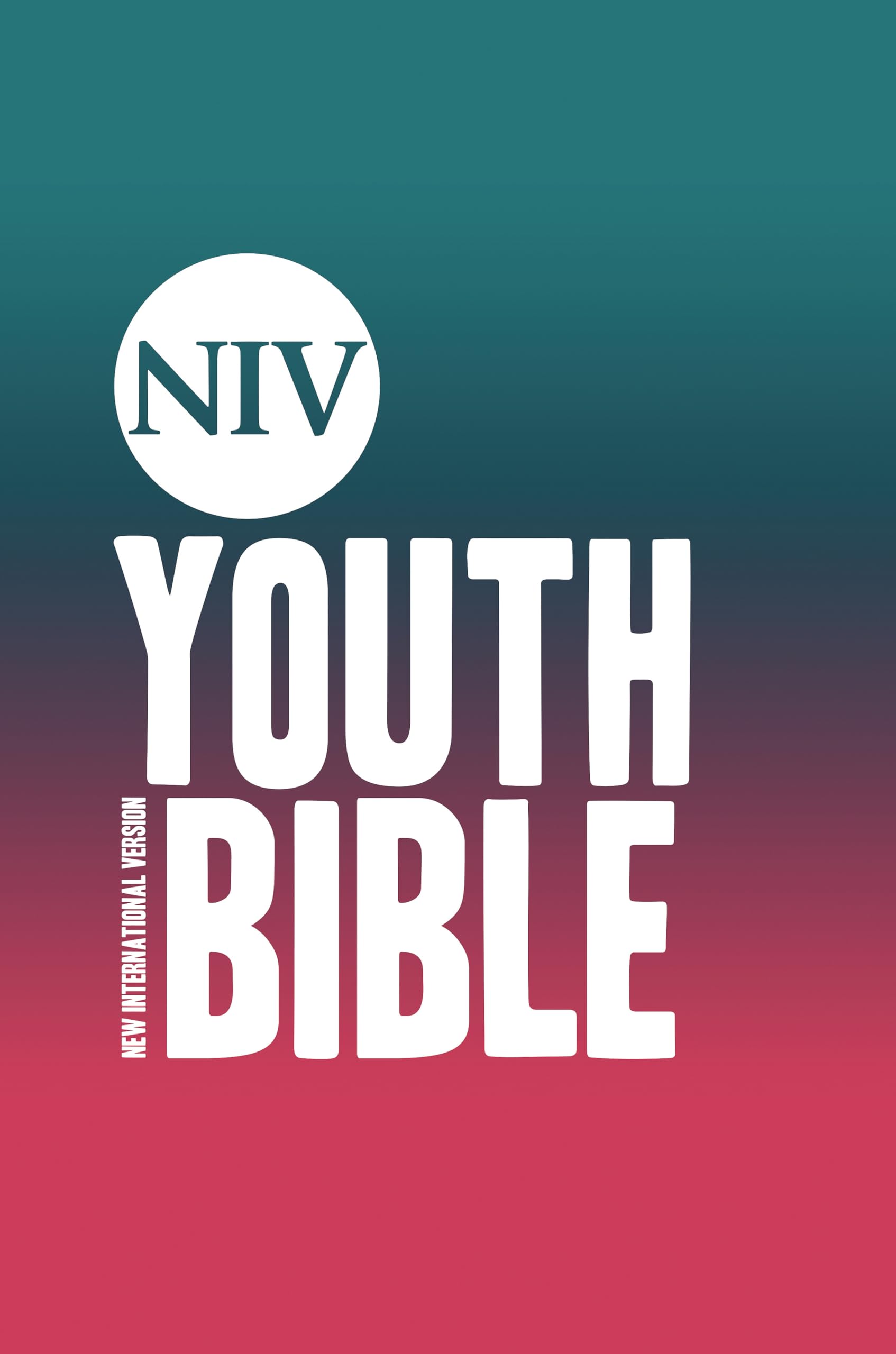 NIV Youth Bible Hardback (New International Version)