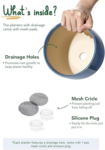 Miniatura 28 de LE TAUCI Macetas de cerámica, macetas con patas de 5.1 + 6.4 pulgadas para plantas, macetas modernas para el hogar y la oficina, macetas