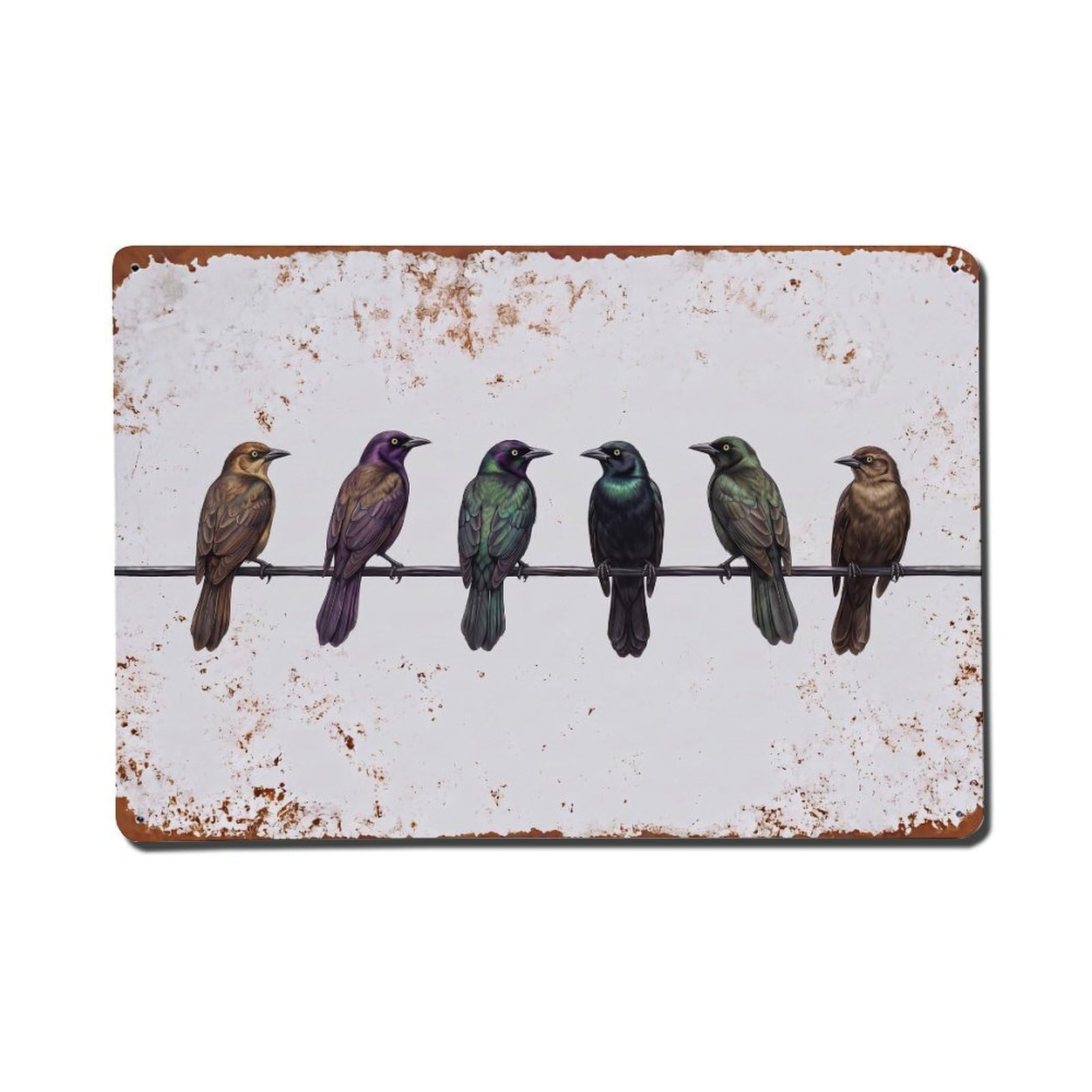 Vintage Retro Birds Grackle Metal Tin Sign