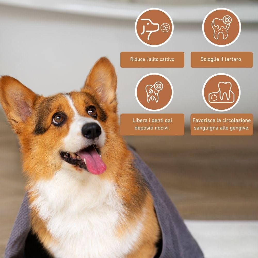 Wildfang® Bastone da Masticare in Legno d'Olivo per Cani - Giocattolo Naturale per Cuccioli, Teething Toy, Ossa in Legno per Cani, Chew Stick Resistente, Giocattolo per Tutti i - Set of 3 (Small)
