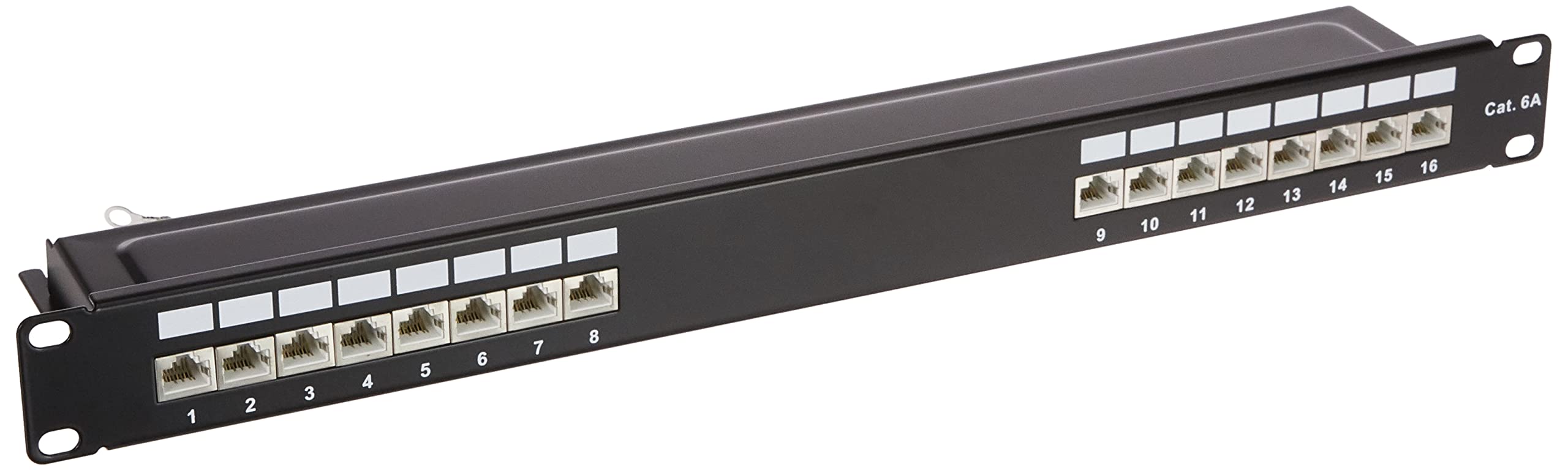 Delock Panneau de Brassage 16 Ports Cat.6A 1U Noir