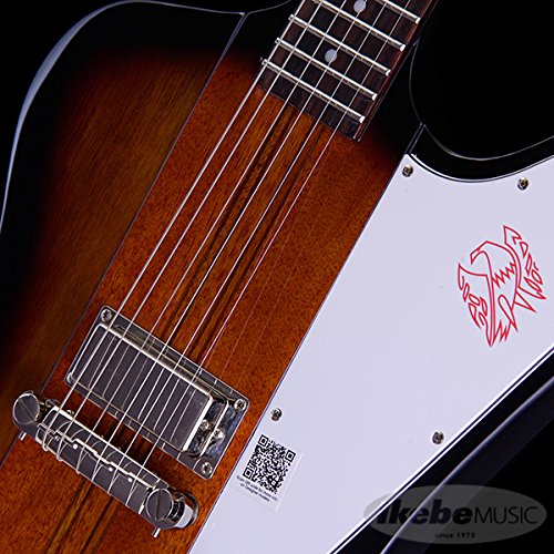 Amazon.co.jp: Epiphone エピフォン エレキギター Limited Edition Joe