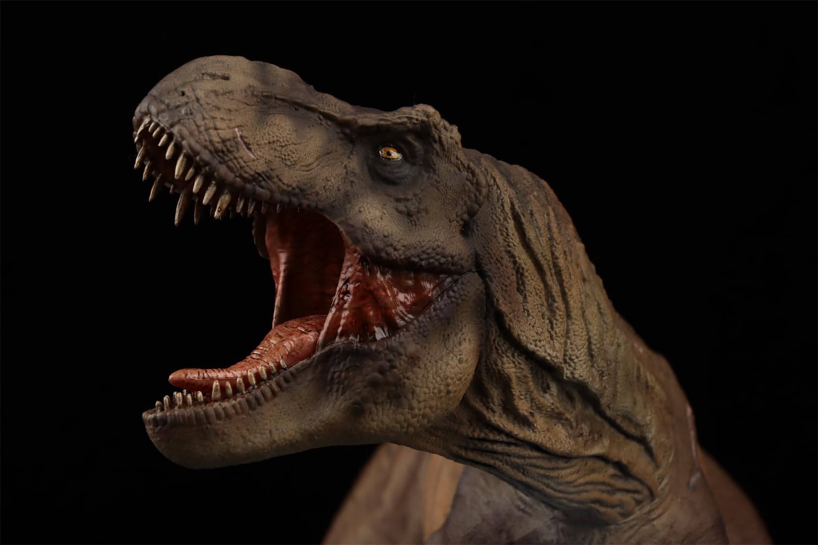 AMITD Figura de Tyrannosaurus Rex escala 1:30