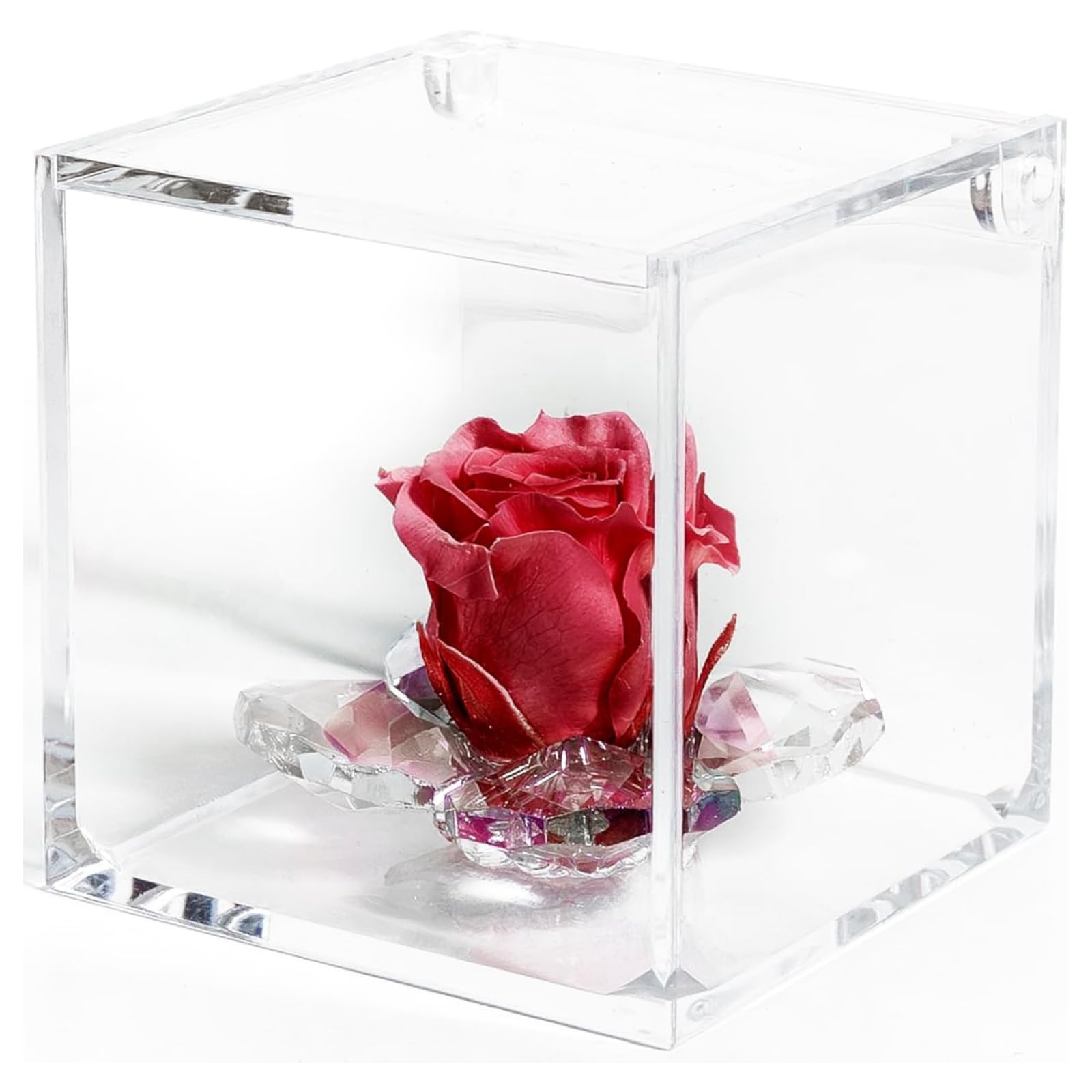 Debora Carlucci Rosa Stabilizzata Vera con 4 Petali in Cristallo Eterna in Cubo Idea Regalo Donna Blu-Bianco-Rosa-Rossa (Rosso)