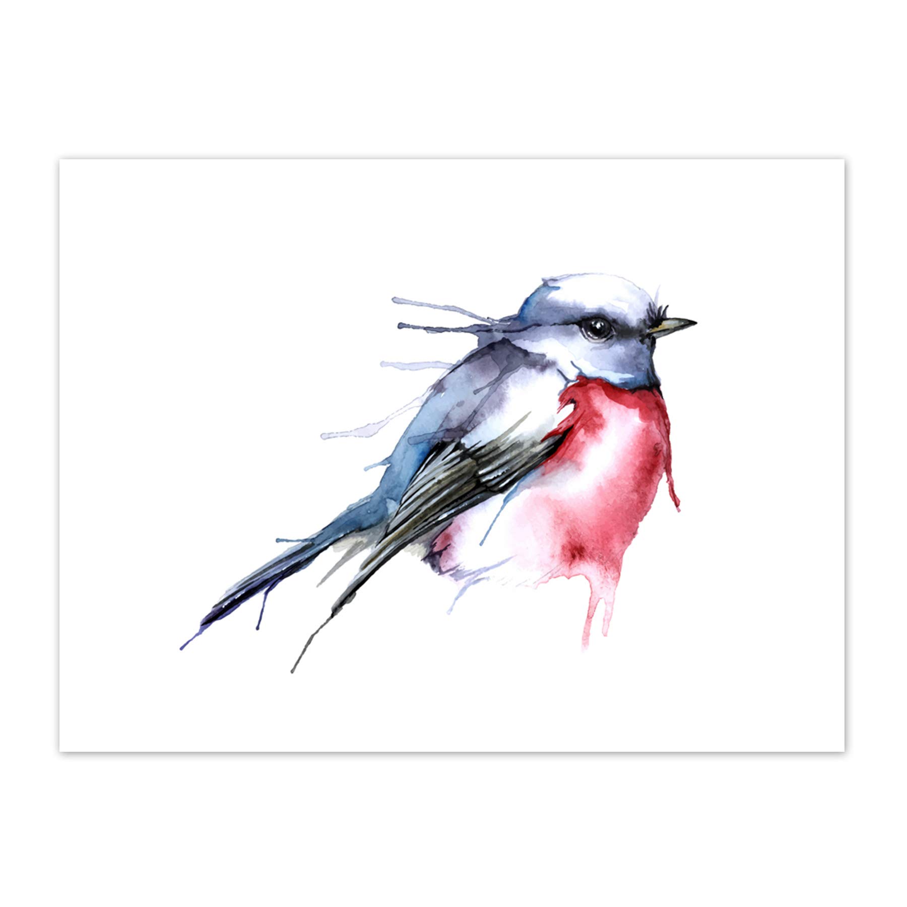 Wee Blue Coo Bird Robin Watercolour Art Print Canvas Premium Wall Decor Poster