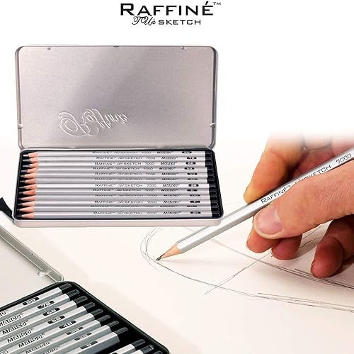 Miniatura 3 de Raffine Juego de lápices de grafito para dibujo, bocetos, escritura, caja de regalo de lata, juego de 12 grados -2H, H, F, HB, B, 2B, 3B, 4B, 5B,
