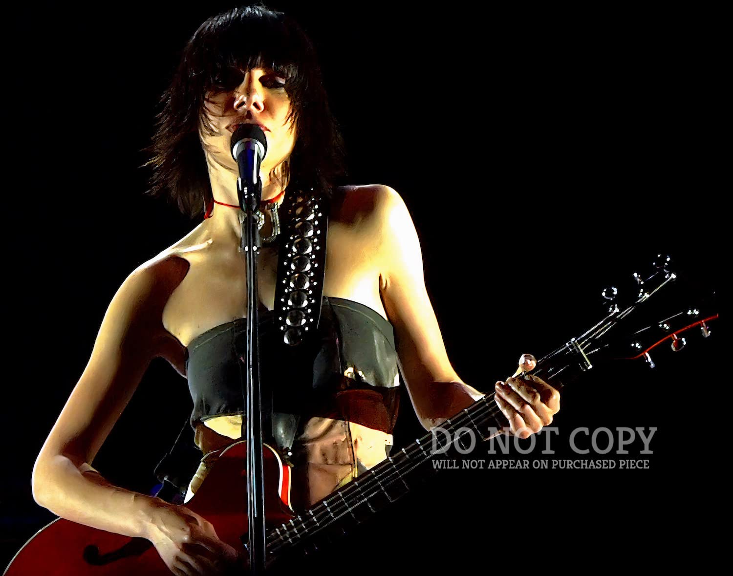 Amazon.com: PJ Harvey Photograph 8 X 10 - Brilliant 2004 Live