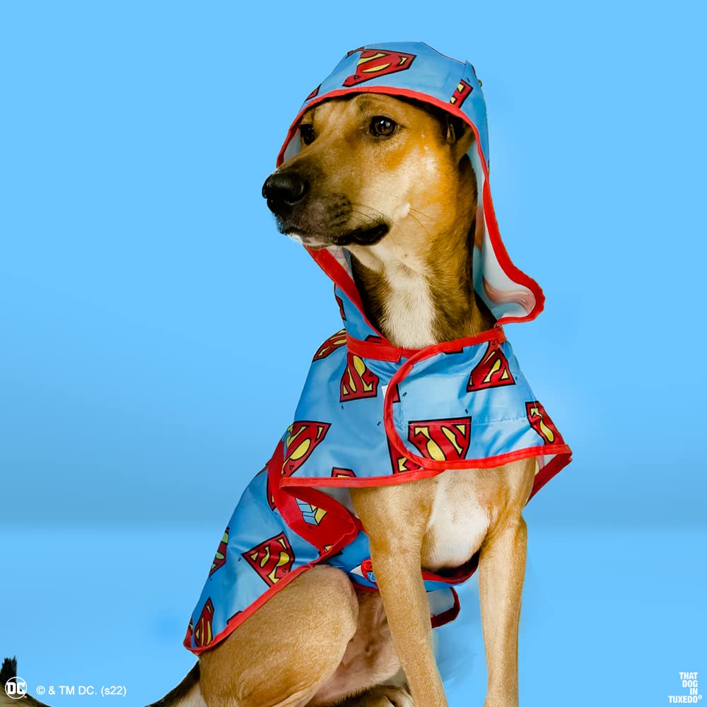That Dog In Tuxedo Superman Dog Raincoat -Double Layered/Water Resistant/Easy to wear (Blue, 26) 4