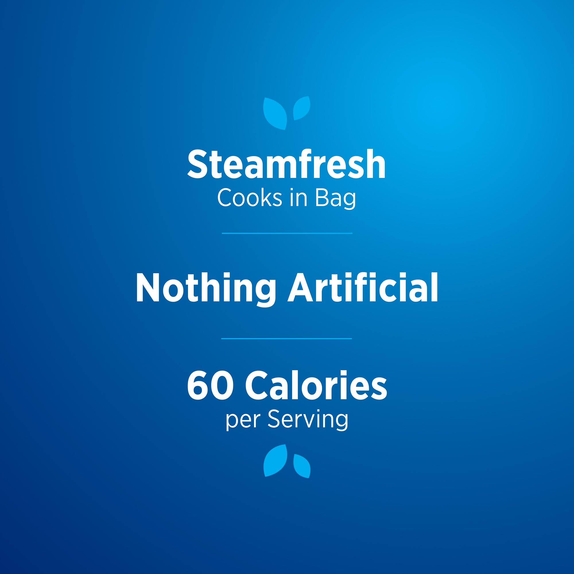 Birds Eye Steamfresh Mixed Vegetables Frozen Vegetables 10 OZ — view 6