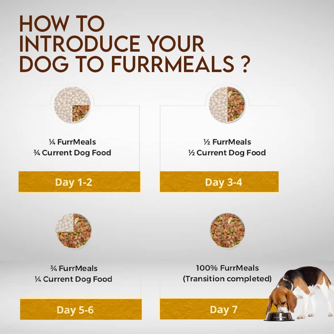 FurrMeals Wet Dog Food | Chicken and Apple | Grain Free | Pack of 1 x 300g | All Breed | Preservative Free | Ready-to-Eat Fresh Dog Food,All Life Stages 4